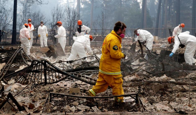 Smartnoble Array image22